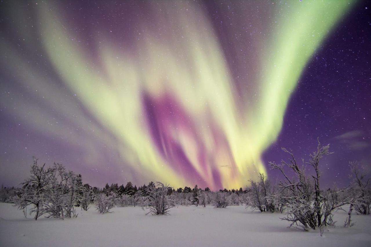 Skyvillage Kurravaara Bagian luar foto